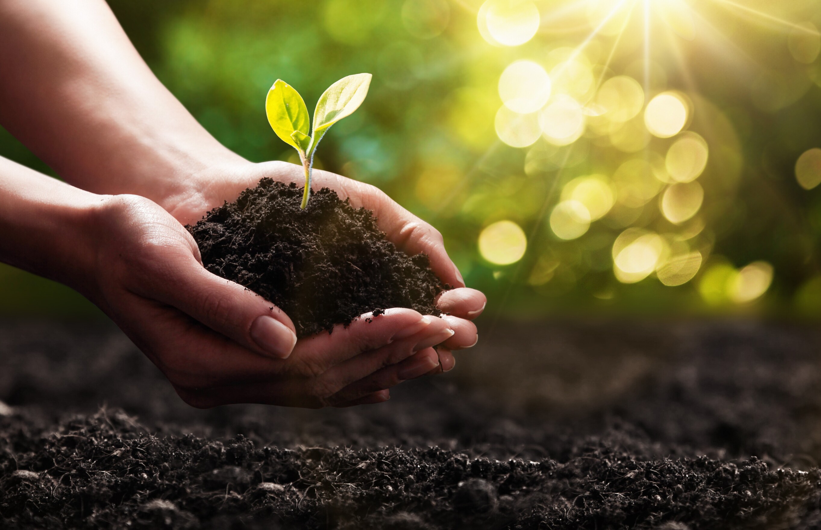 Beim Versorgungswerk